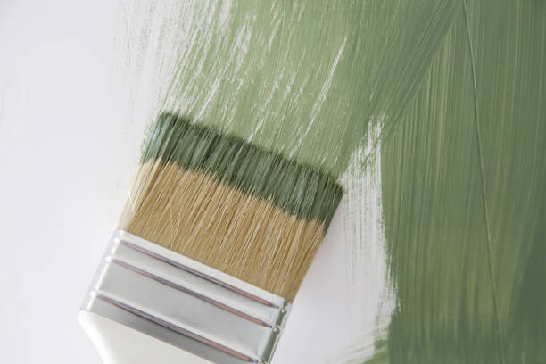 Best Residential Mold Inspection & Testing  in Alamo, GA