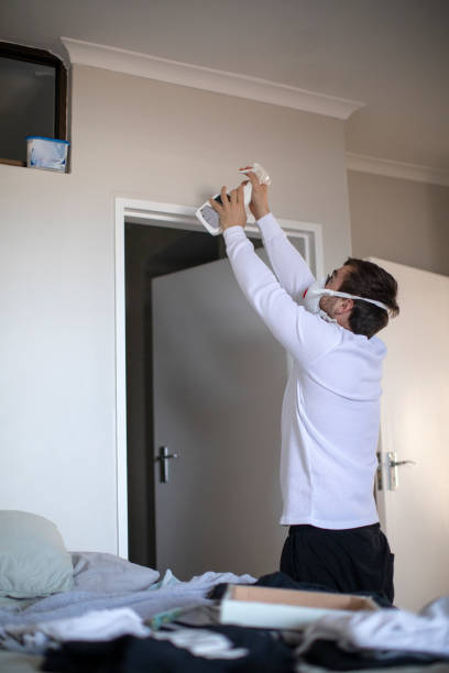 Reliable Alamo, GA Mold Removal Solutions