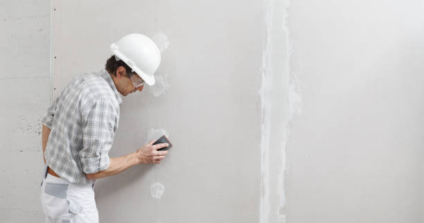 Best Basement Mold Removal  in Alamo, GA