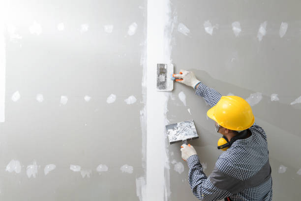  Alamo, GA Mold Removal Pros