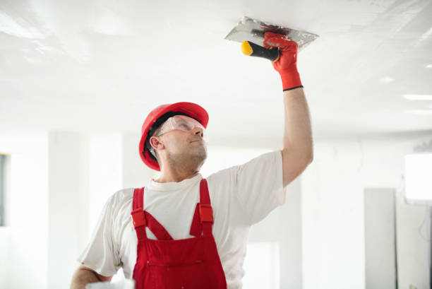 Environmental Consulting for Mold Prevention in Alamo, GA