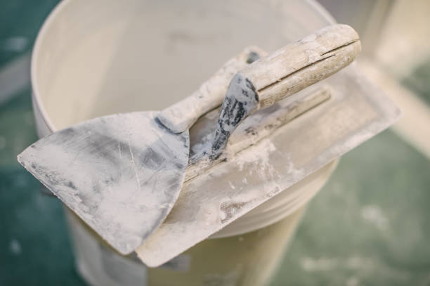 Best Emergency Mold Remediation  in Alamo, GA