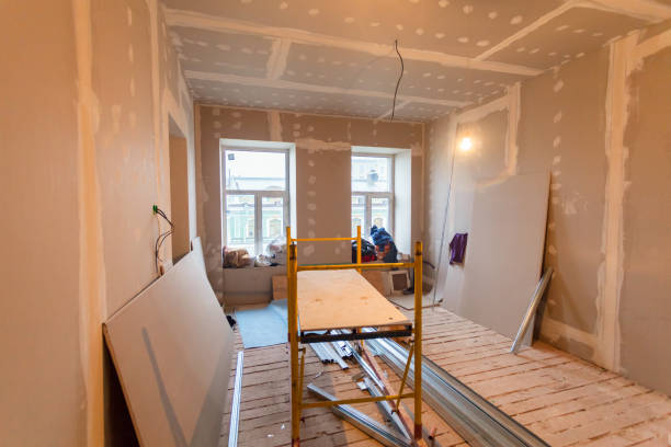 Best Post-Construction Mold Inspection  in Alamo, GA